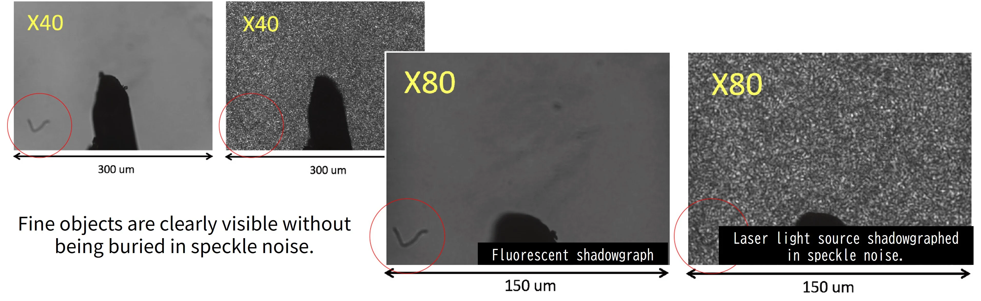 Fluorescence micro shadowgraph system
