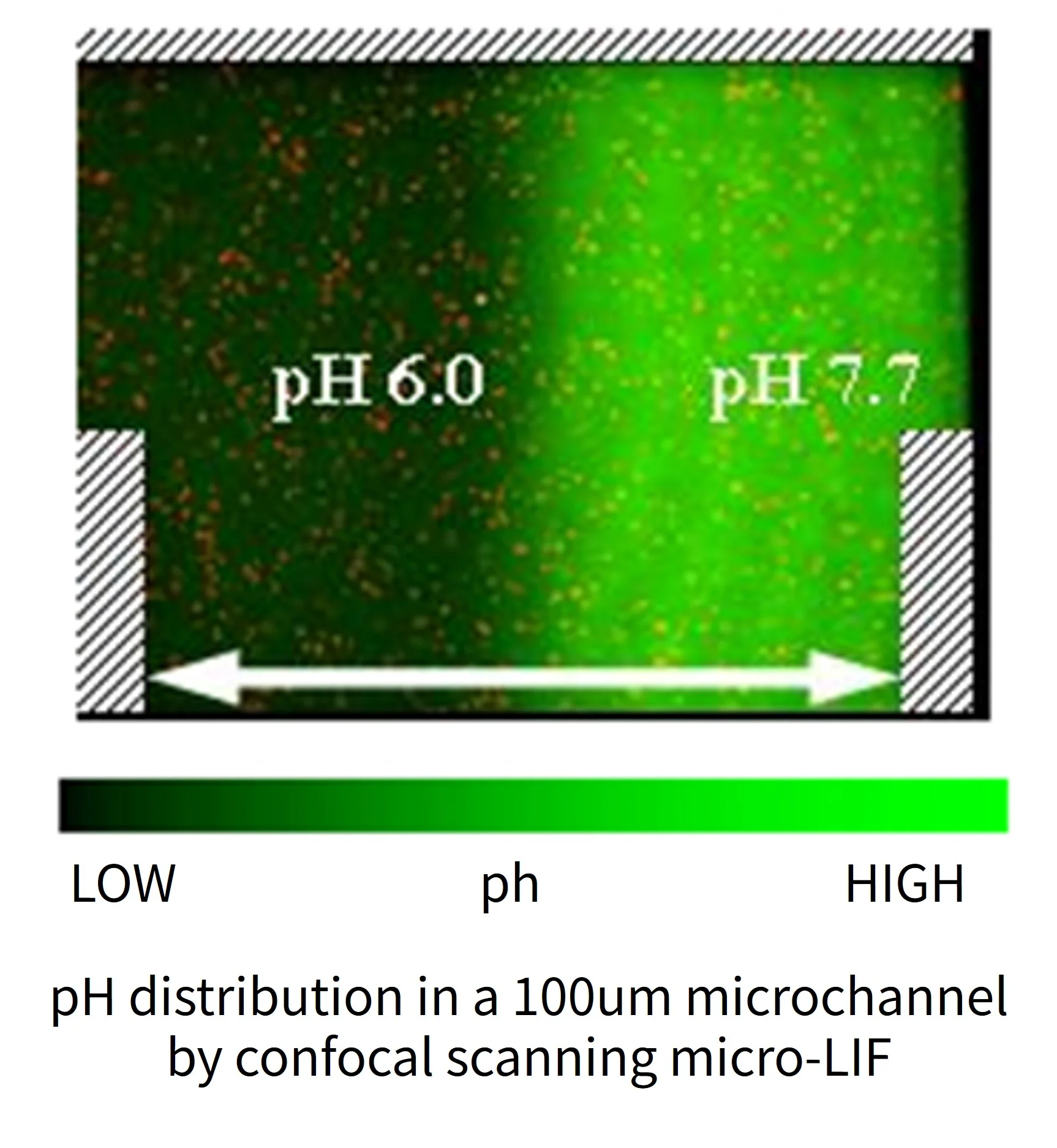 pH distribution in a 100um microchannel by confocal scanning micro-LIF