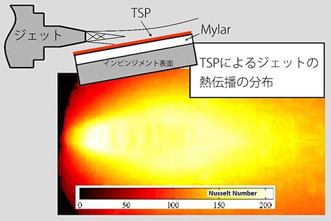 感温塗料 TSP(Temperature Sensitive Paint)