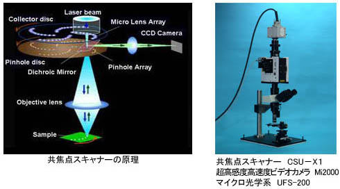 製品特徴