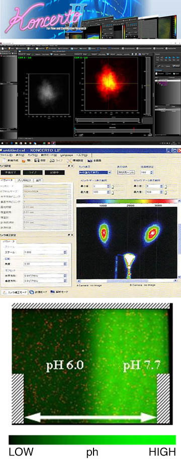 Koncerto LIF ( control and analysis software developed by Saika digital image ) is an integrated imaging measurement software with functions necessary for controlling ultra-sensitive cameras such as ICCD cameras and EMCCD cameras, displaying and analyzing high bit images.