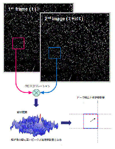 移動量と速度の評価