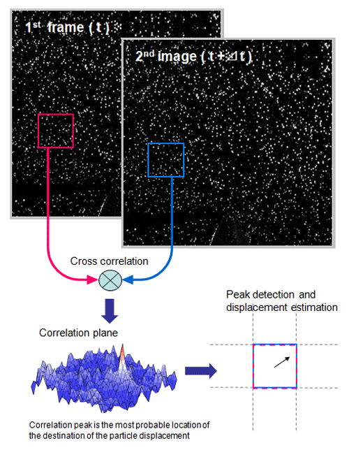 Displacement and velocity evaluation