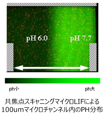 共通点スキャニングマイクロLIFによる100umマイクロチャンネル内のPH分布