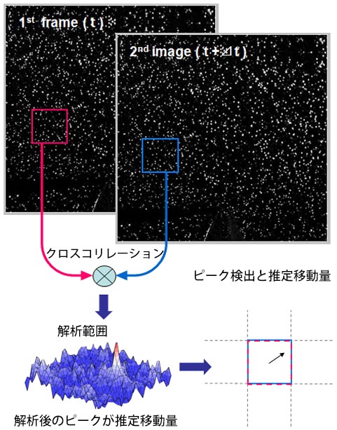 移動量と速度の評価