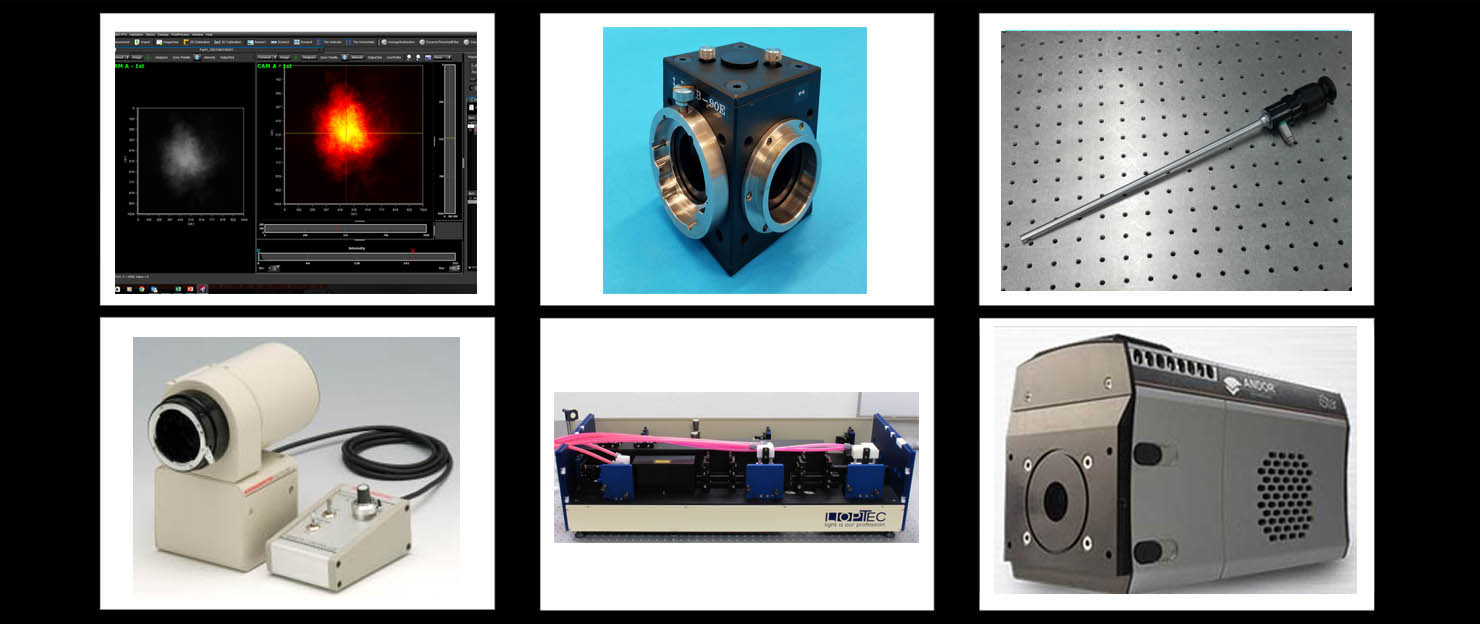 LIF System components