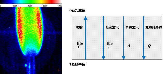 LIF レーザー誘起蛍光法