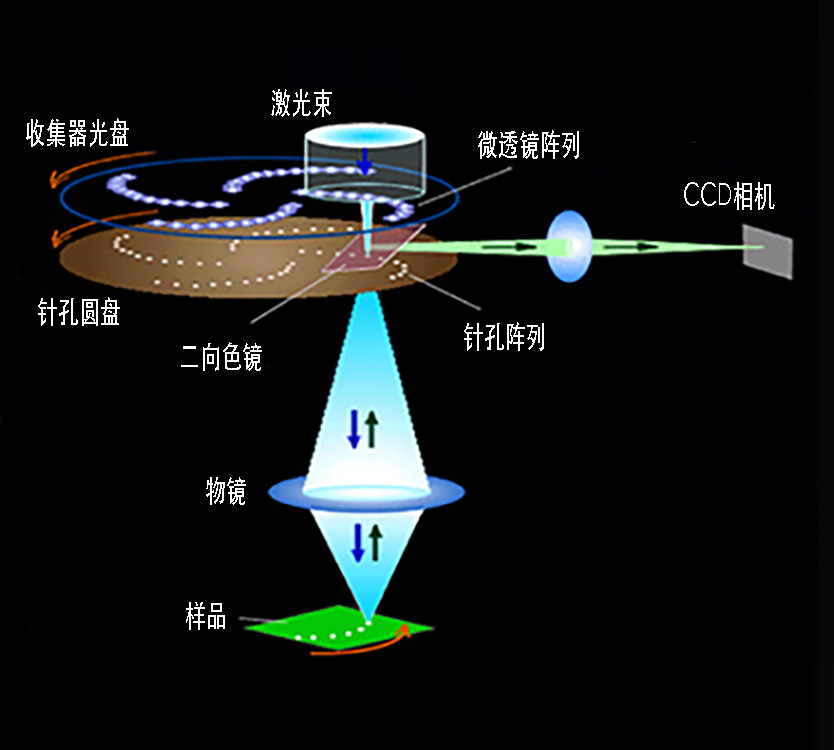 共焦扫描仪的原理