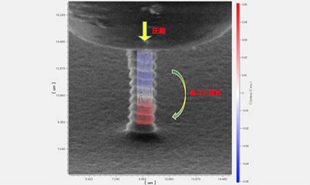 SEM画像 ピラー圧縮試験のせん断歪み分布