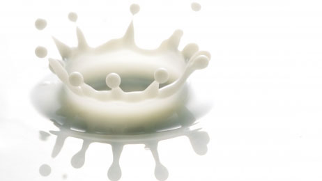 様々な乳飲料の粒度分布