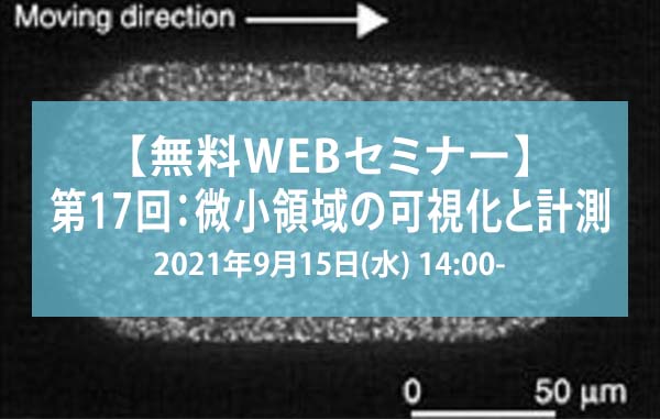 【無料WEBセミナー】第17回：微小領域の可視化と計測